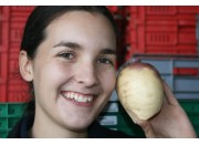 SWEDE SMALL  Size Ohakune Grown